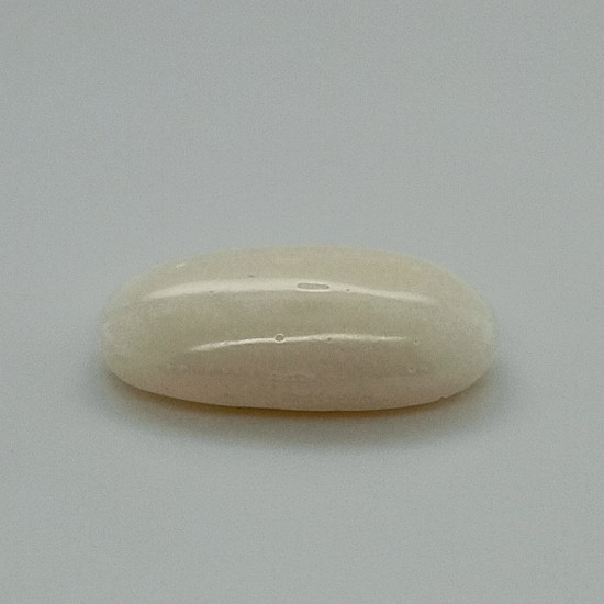 White Coral (Safed Moonga)  7.23 Ct Good Quality